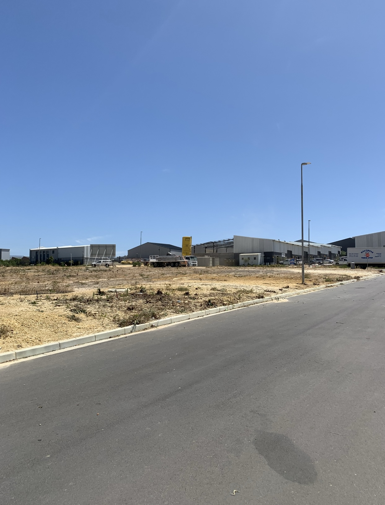 Cleared roadside area after tree and bush removal service
