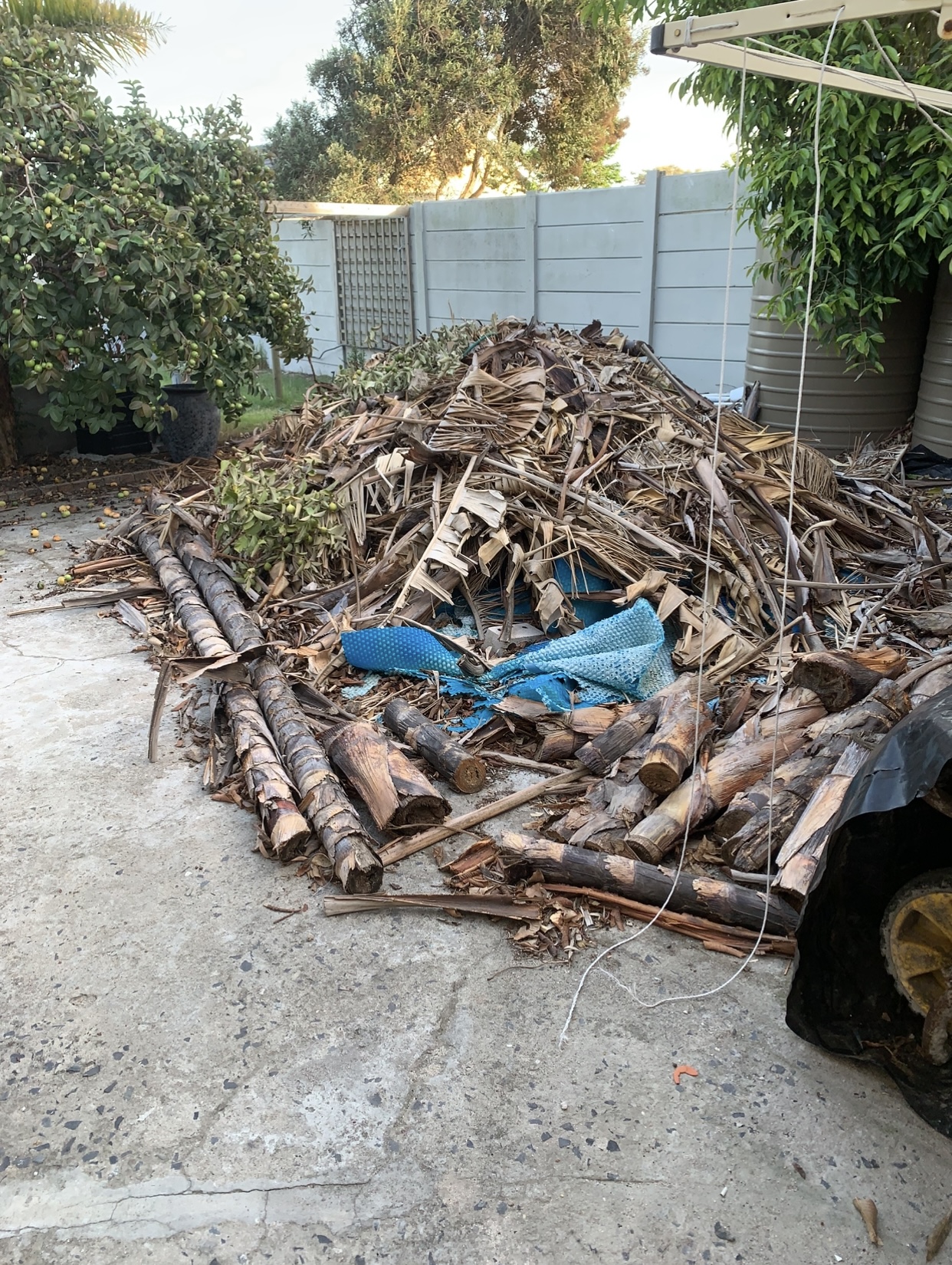 Large pile of cut branches and tree debris in a driveway before garden waste removal
