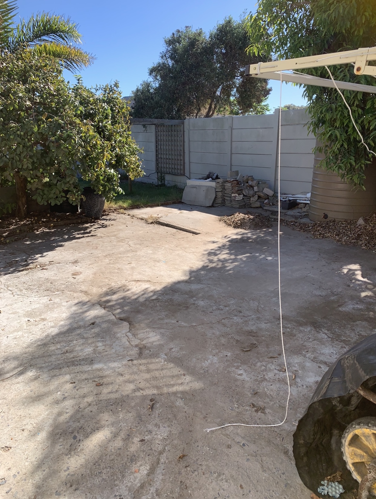 Cleaned driveway area after branches and tree debris were removed
