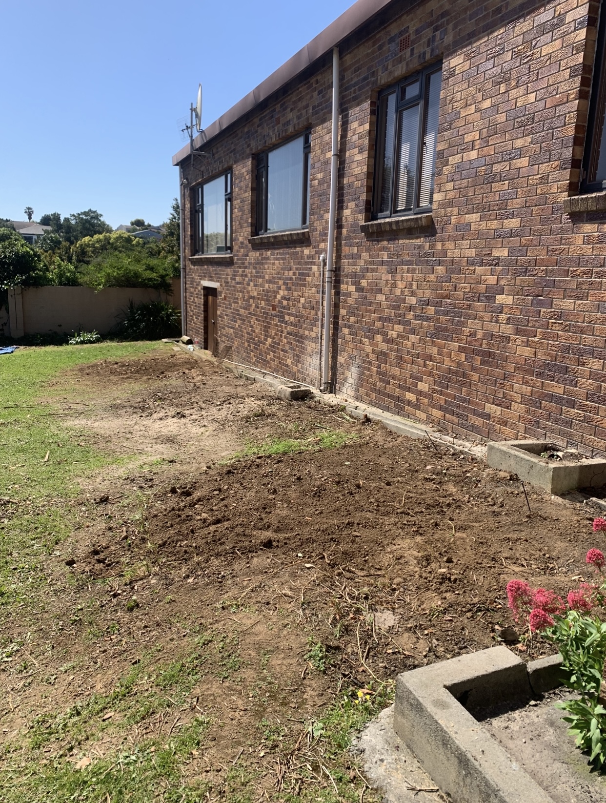 Cleared garden area beside a house after tree felling and garden waste removal